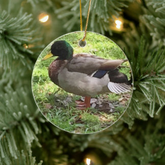 Mallard Duck Ornament