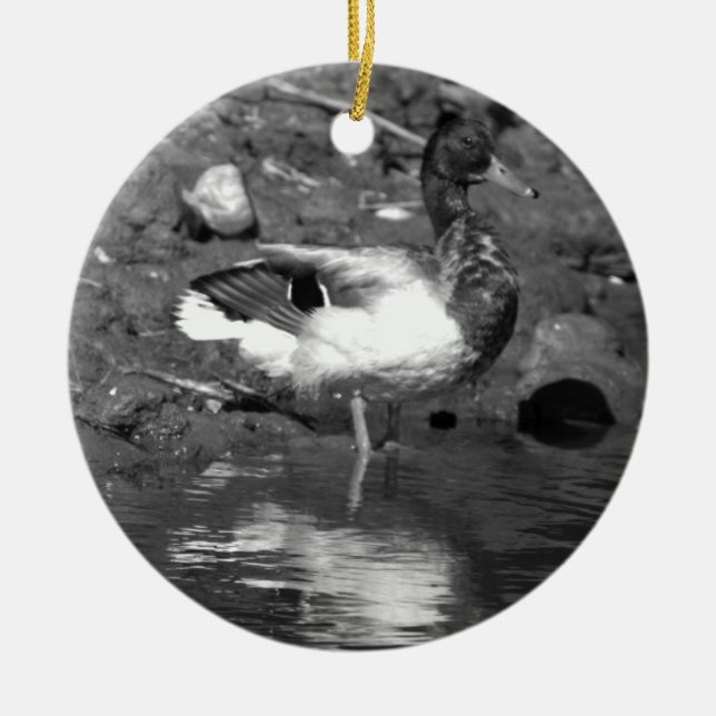 Mallard Duck Ornament (Vorne)