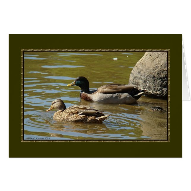 Mallard Duck Pair (Vorderseite (Horizontal))