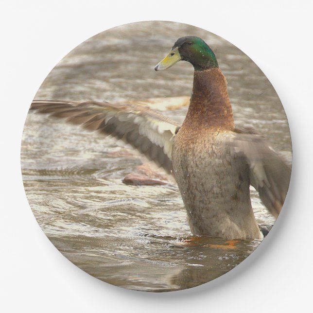 Mallard Duck Paper Plates Pappteller (Vorderseite)