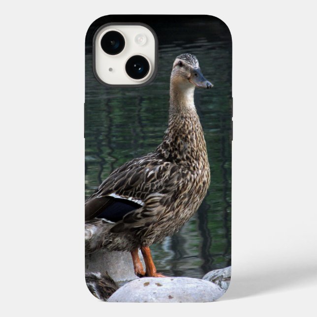 Mallard Duck Phone Case (Rückseite)