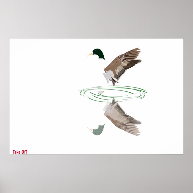 Mallard Duck Poster (Vorne)