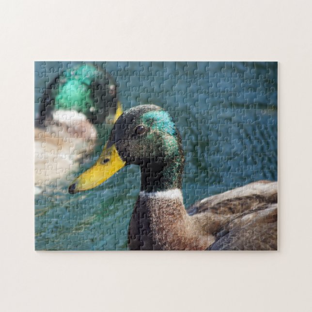 Mallard Duck Puzzle (Horizontal)