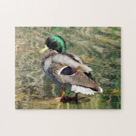 Mallard Duck Puzzle