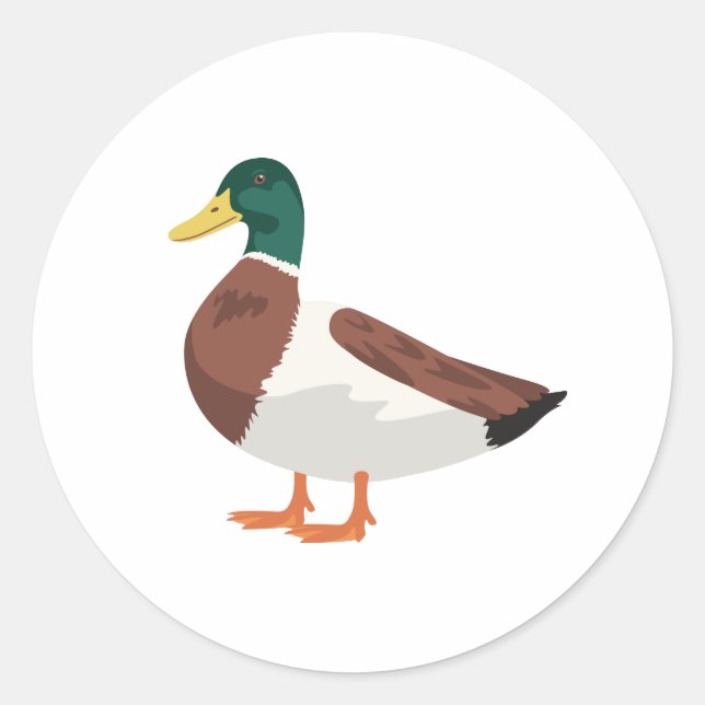 Mallard Duck Runder Aufkleber (Vorderseite)