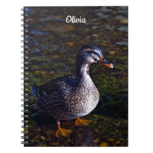 Mallard Duck Spiral Notebook Notizblock