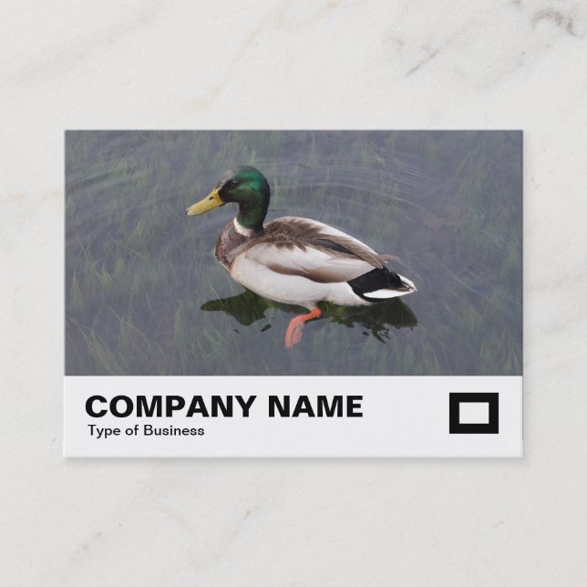 Mallard Duck Visitenkarte (Vorderseite)