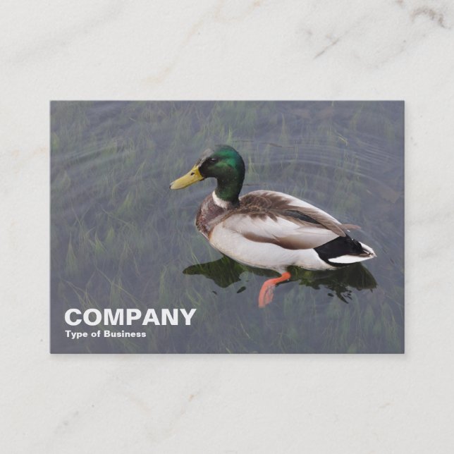 Mallard Duck Visitenkarte (Vorderseite)