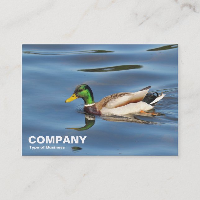Mallard Duck Visitenkarte (Vorderseite)