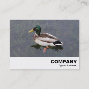 Mallard Duck Visitenkarte