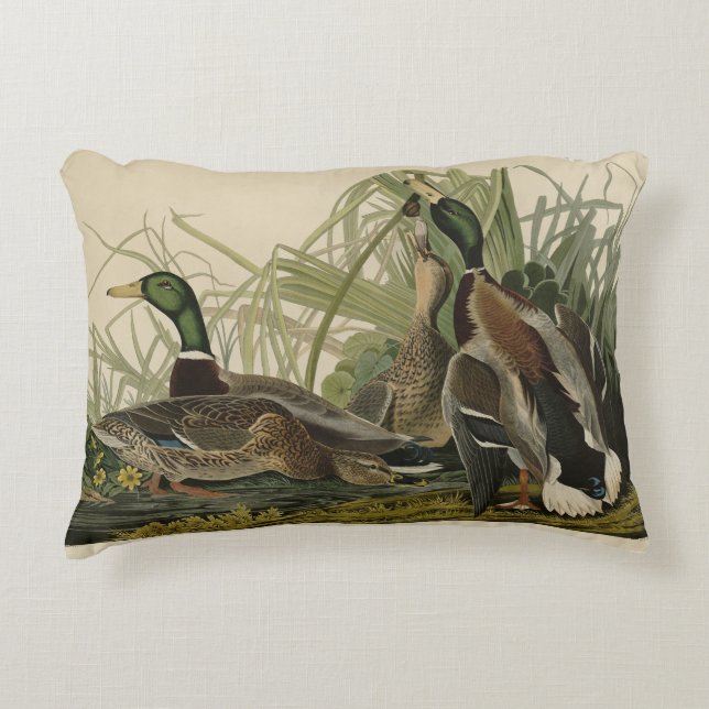 Mallard Duck von Audubon's Birds of America Dekokissen (Vorderseite)
