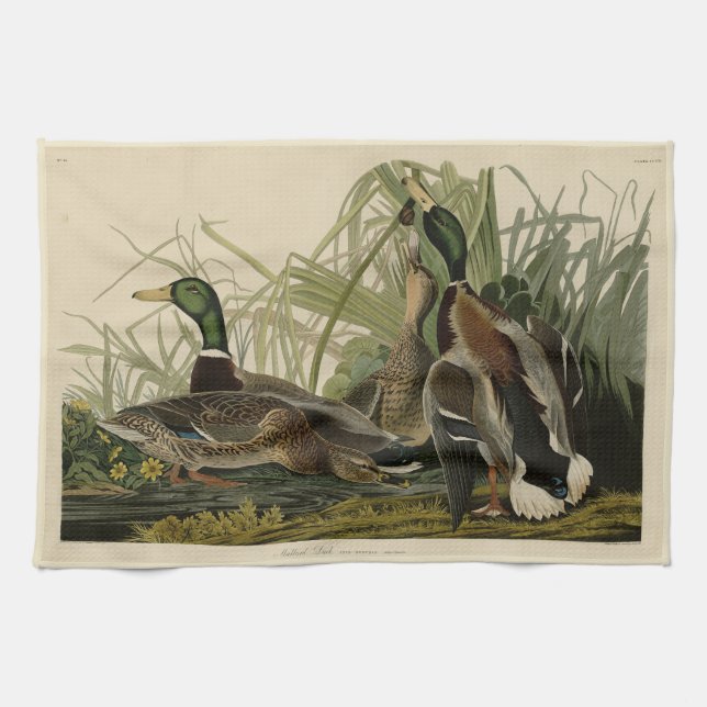 Mallard Duck von Audubon's Birds of America Geschirrtuch (Horizontal)