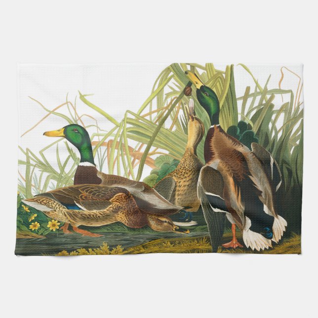 Mallard Duck von John James Audubon Geschirrtuch (Horizontal)