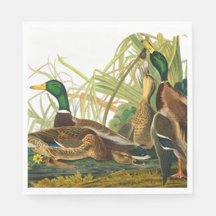 Mallard Duck von John James Audubon Serviette