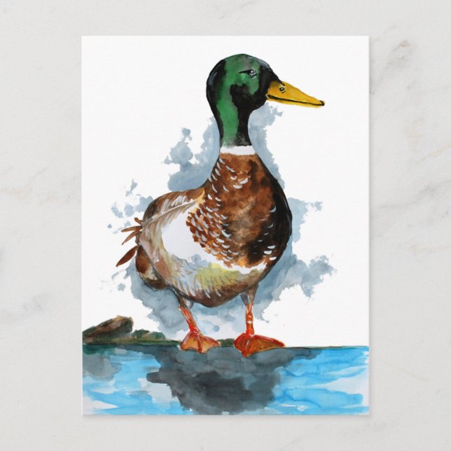 Mallard Duck Watercolor Postkarte (Vorderseite)