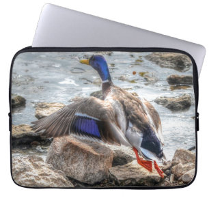 Mallard Duck Wildlife Foto für Vogelliebhaber Laptopschutzhülle