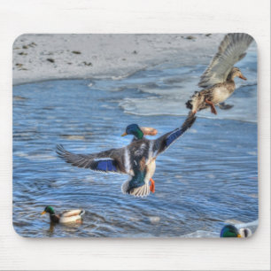 Mallard Duck Wildlife Foto für Vogelliebhaber Mousepad