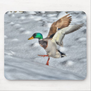 Mallard Duck Wildlife Foto für Vogelliebhaber Mousepad