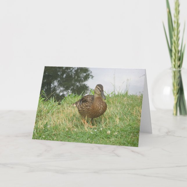 Mallard-Duckkarte Karte (Vorderseite)