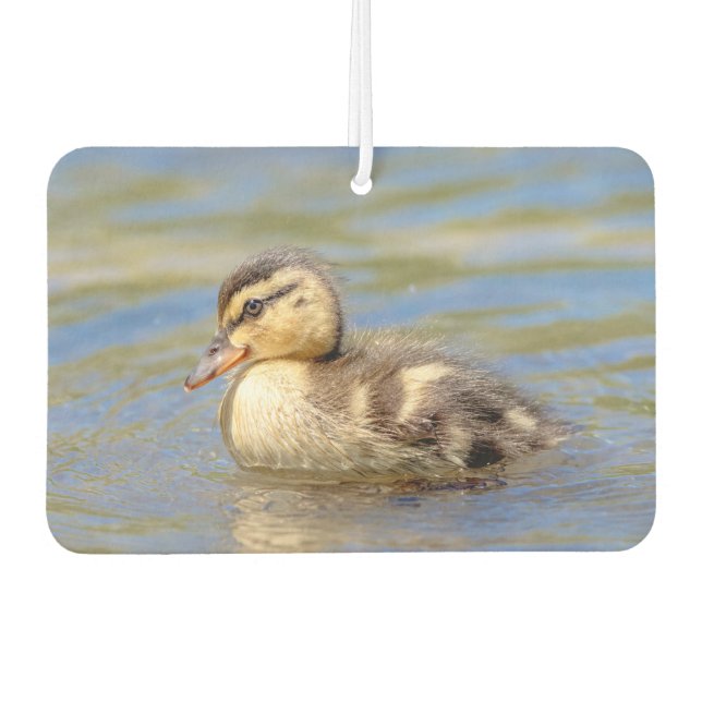 Mallard Duckling Autolufterfrischer (Vorderseite)