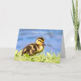 Mallard Duckling Feiertagskarte