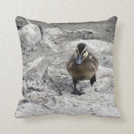 Mallard Duckling Foto Kissen
