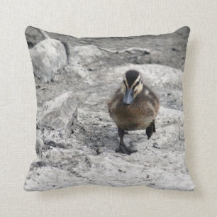 Mallard Duckling Foto Kissen