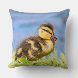 Mallard Duckling Kissen