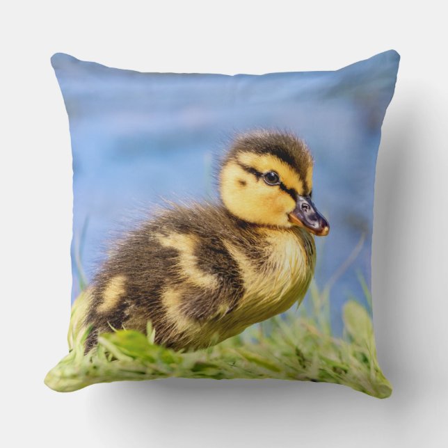 Mallard Duckling Kissen (Vorderseite)