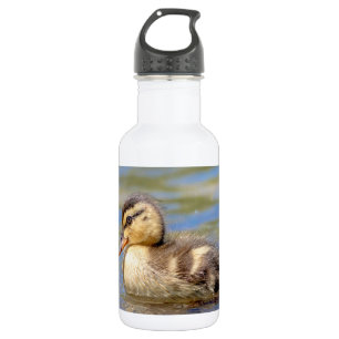 Mallard Duckling Trinkflasche