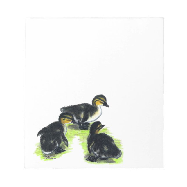 Mallard Ducklings Notizblock (Vorderseite)