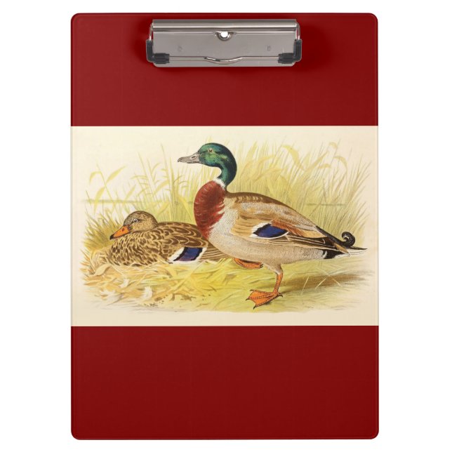 Mallard Ducks Clipboard Klemmbrett (Vorderseite)