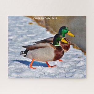 Mallard Ducks Departures