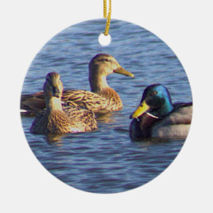 Mallard Ducks Foto Ornament