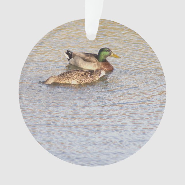 Mallard Ducks Foto Ornament (Vorderseite)