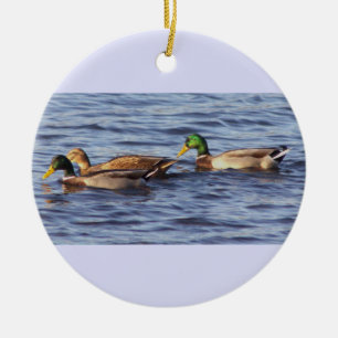 Mallard Ducks Foto Ornament
