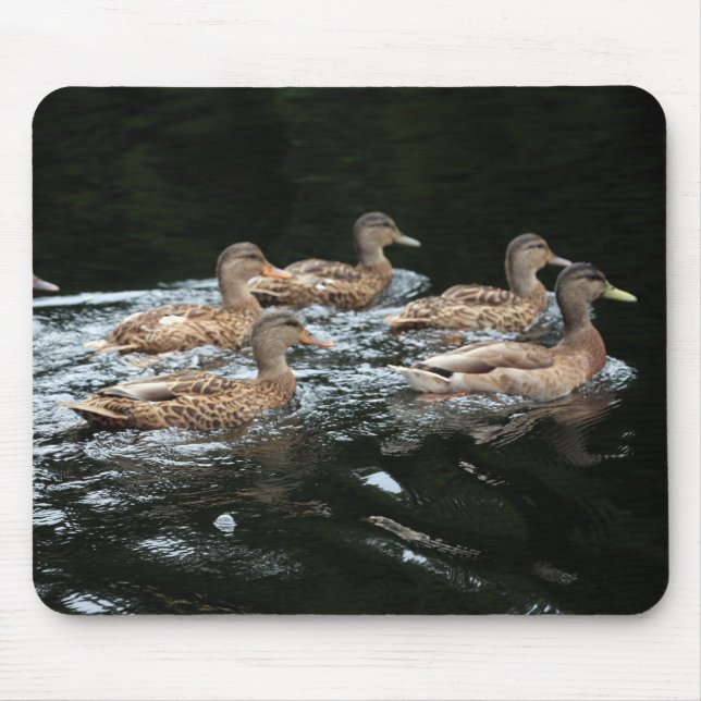 Mallard-Ducks Mousepad (Vorne)