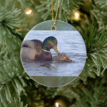 Mallard Ducks Ornament<br><div class="desc">Mallard Ducks Ornament</div>