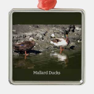 Mallard Ducks Ornament Aus Metall