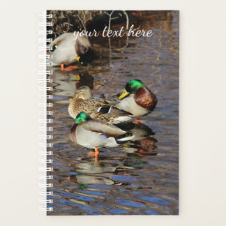 Mallard Ducks Planer