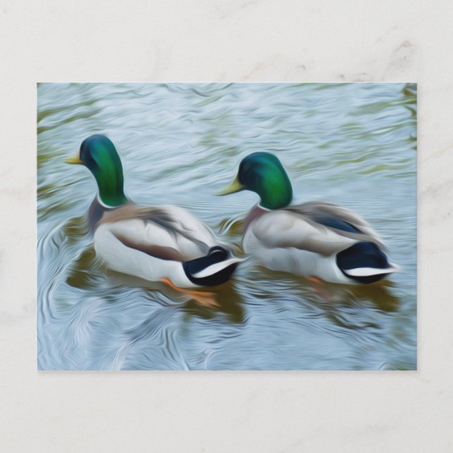 Mallard Ducks Postkarte (Vorderseite)