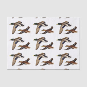 Mallard Ducks U-Pick Background Color Seidenpapier