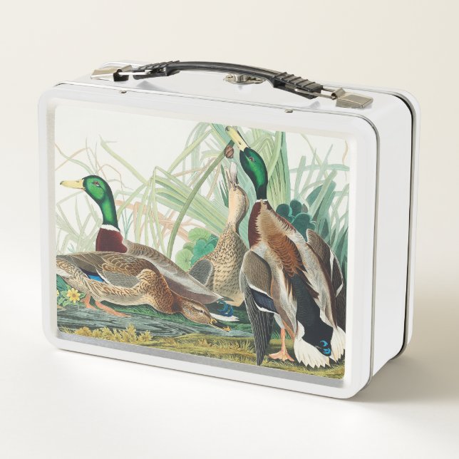 Mallard Enck from Birds of America (Audubon) Metall Brotdose (Rückseite)