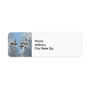 Mallard Encks Flying Snow Foto
