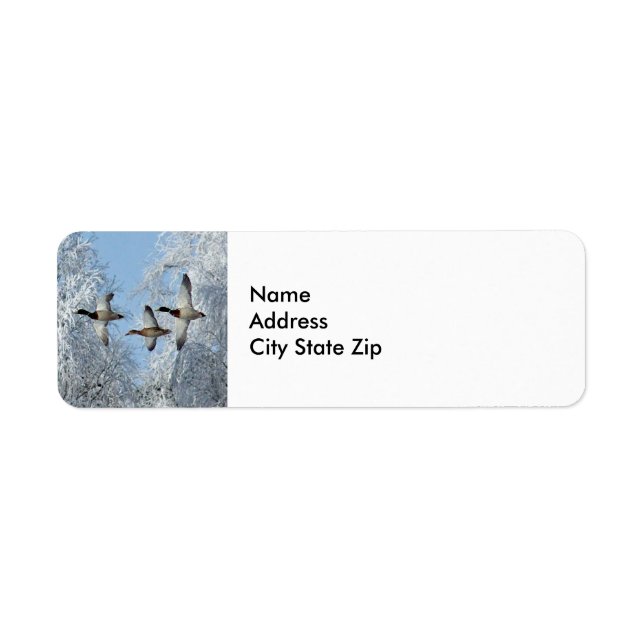 Mallard Encks Flying Snow Foto (Vorne)