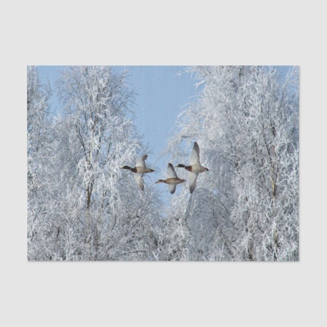 Mallard Encks Flying Snow Foto Seidenpapier (Vorderseite)