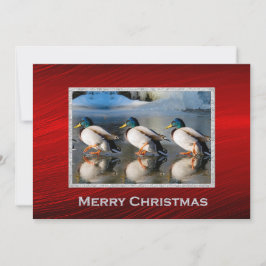 Mallard Encks Ice Foto Weihnachtswohnung Feiertagskarte