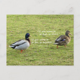 Mallard Encks mit afrikanischer Postkarte