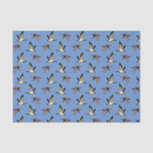 Mallard Encks Seidenpapier