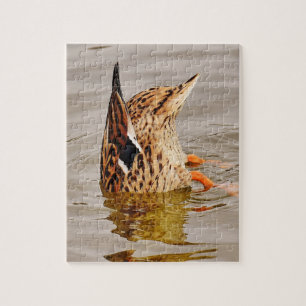 Mallard Ente Füttre Unterwasser
